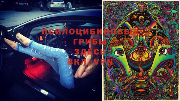 винт Баксан