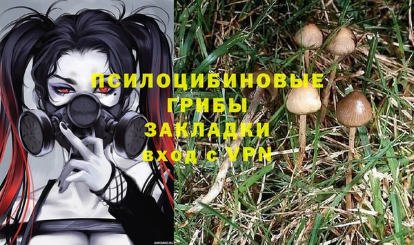 винт Баксан