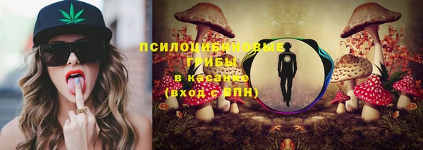 винт Баксан