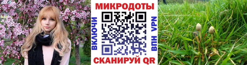 shop как зайти Лесосибирск Галлюциногенные грибы Psilocybine cubensis цена